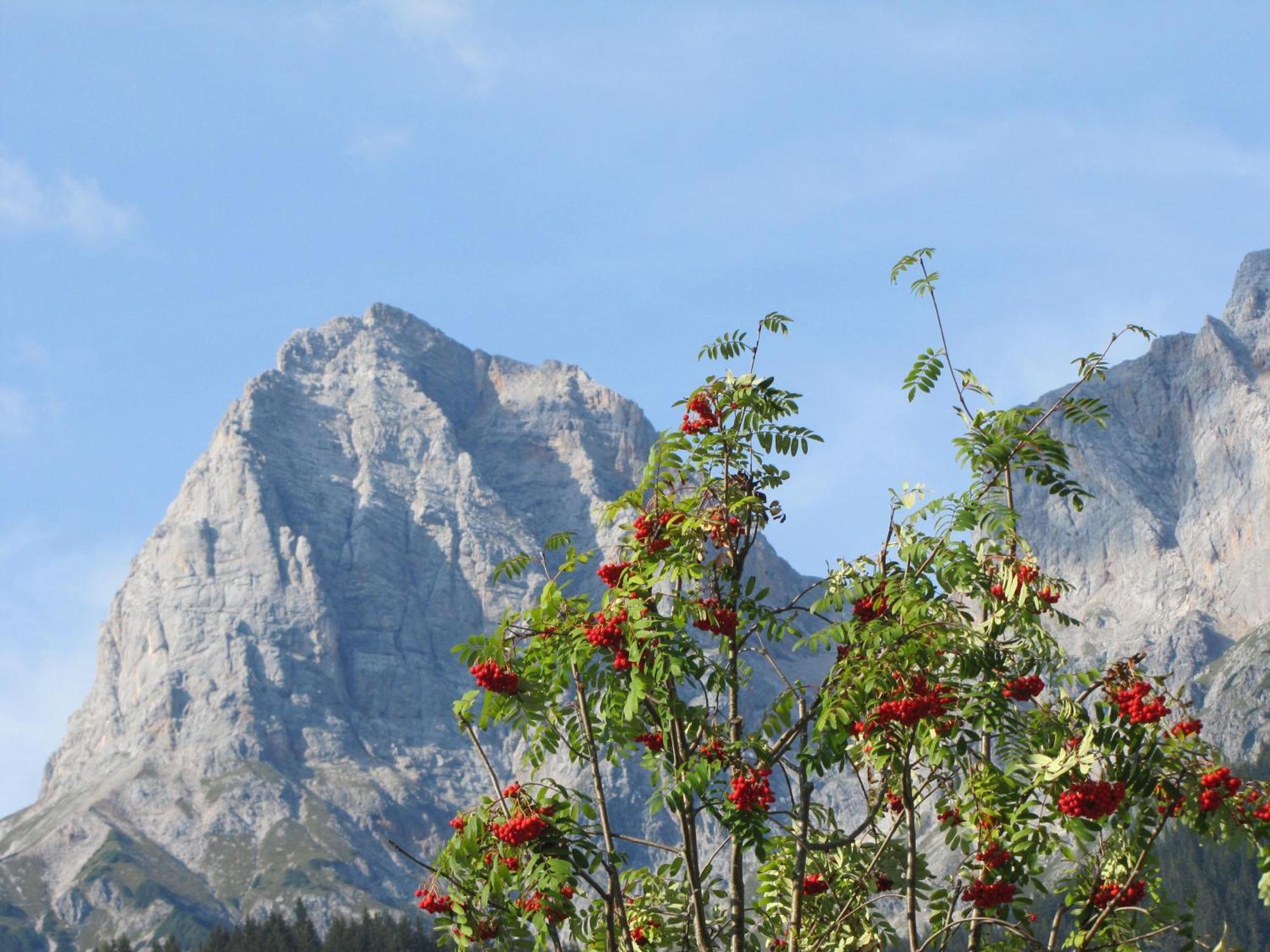 Ferienwohnung Klappacher Maria Alm am Steinernen Meer Εξωτερικό φωτογραφία