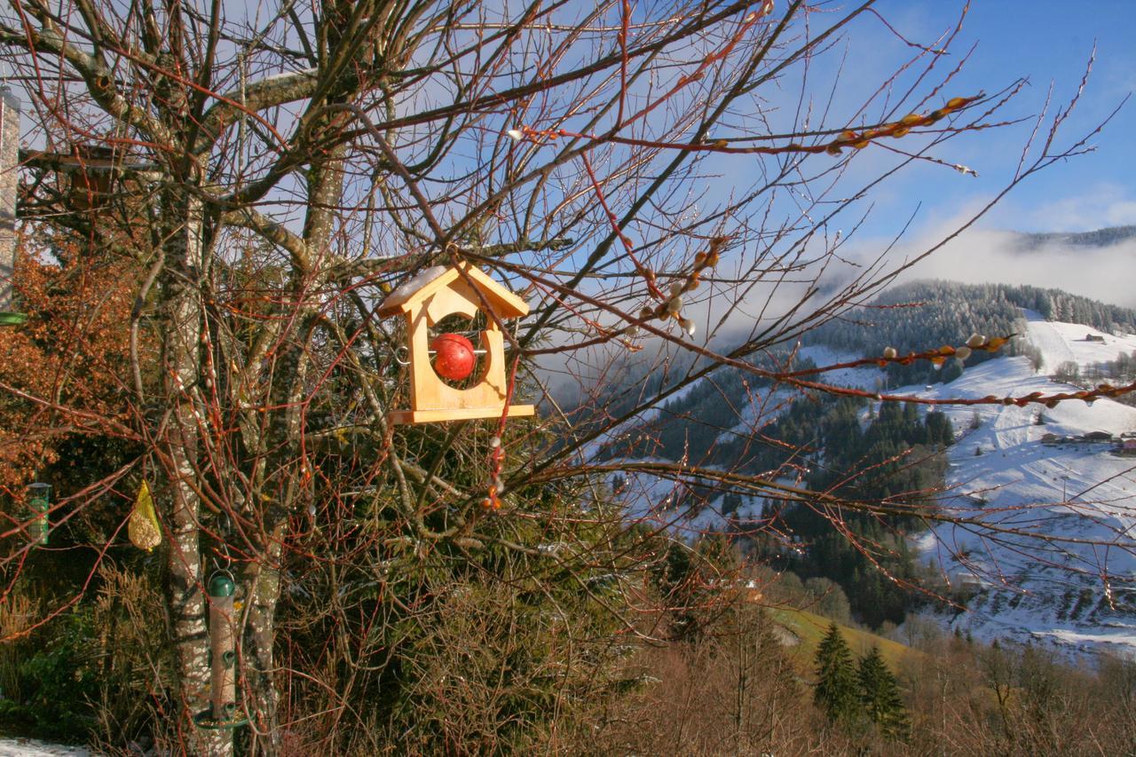 Ferienwohnung Klappacher Maria Alm am Steinernen Meer Εξωτερικό φωτογραφία